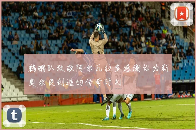 鹈鹕队致敬阿尔瓦拉多感谢你为新奥尔良创造的传奇时刻