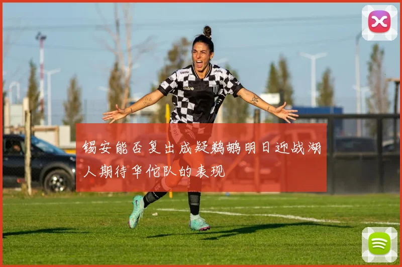锡安能否复出成疑鹈鹕明日迎战湖人期待华佗队的表现