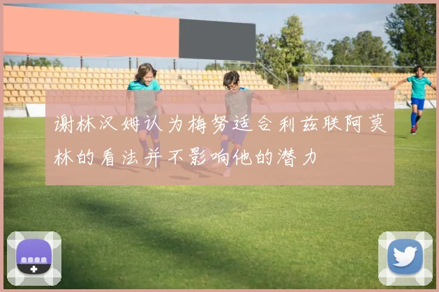 谢林汉姆认为梅努适合利兹联阿莫林的看法并不影响他的潜力